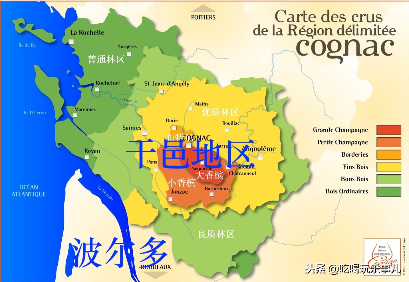 人头马xo和马爹利xo哪个档次最高,人头马xo是红酒吗