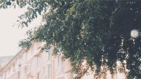 如果可以，请把我留在温江大学城！