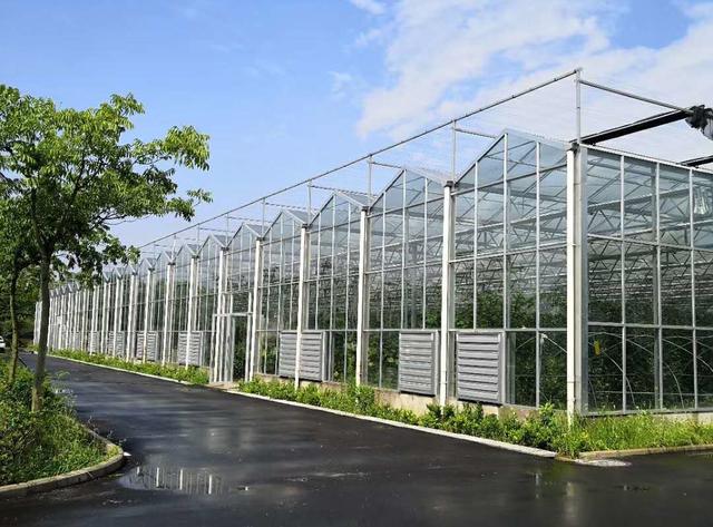 你见过高端玻璃温室大棚吗,现代农业玻璃温室大棚简介