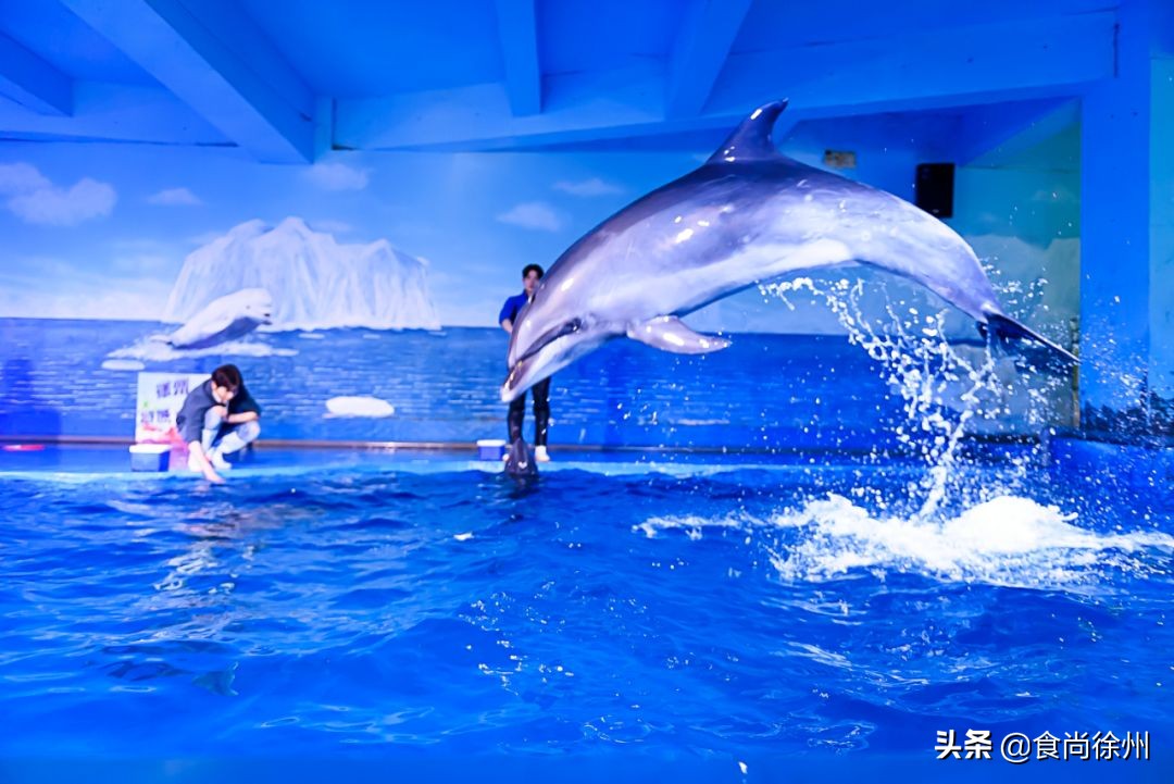 深夜重磅：一年疯一次！徐州南区都在传这事！100多家餐厅5折起