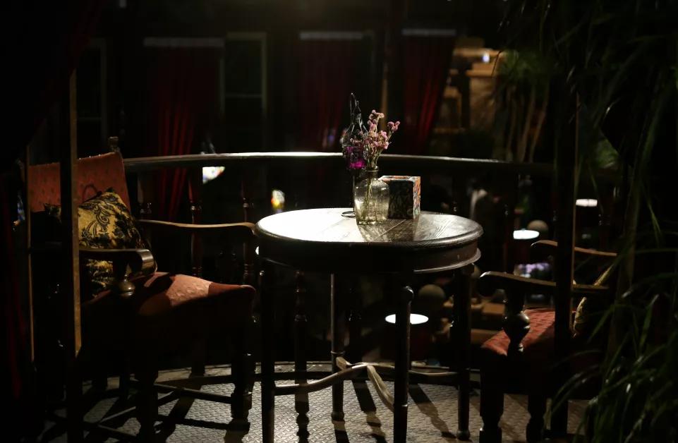 古都夜八点相约植物园,古都夜八点相约洛阳城