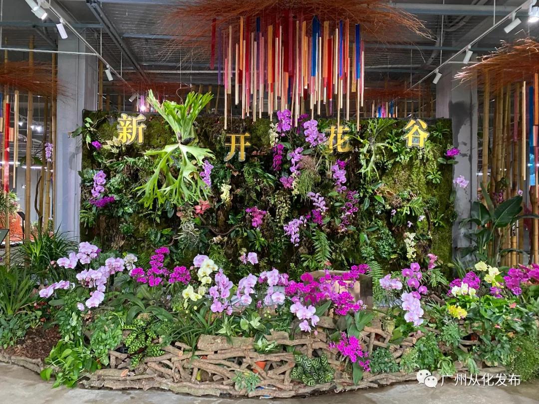 广州从化打造现代花卉产业,从化花卉产业基地