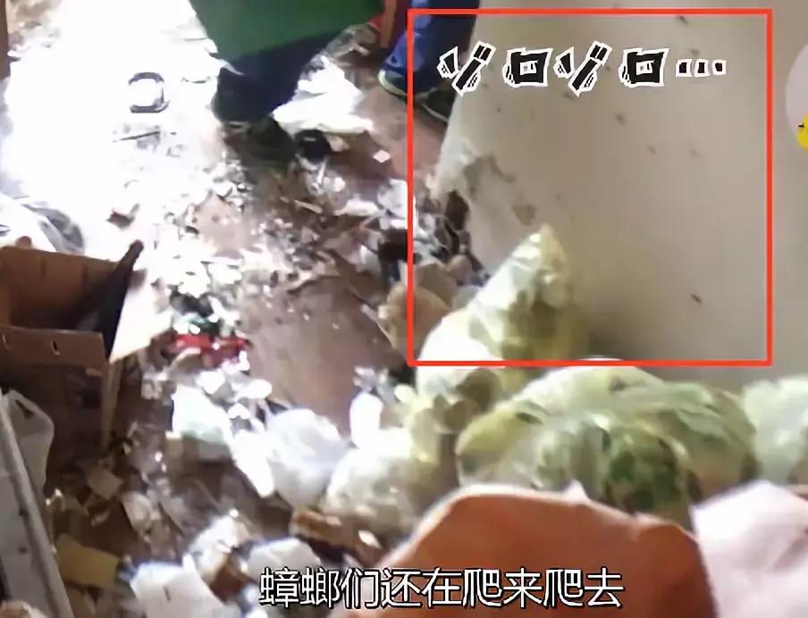 强迫症级家政服务，处理垃圾就要一万多元