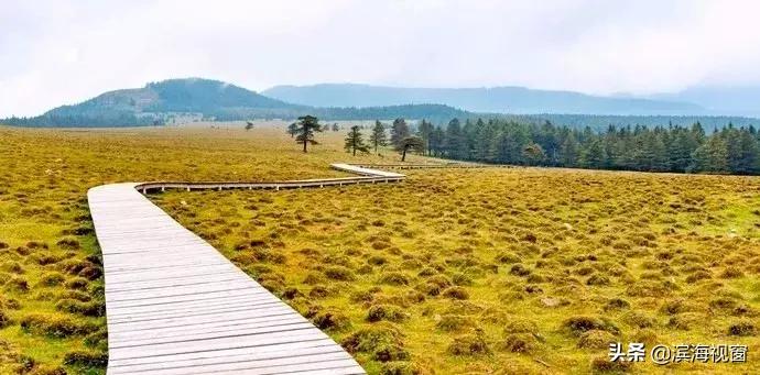 天津周边的旅游景点推荐一日游,天津周边旅游一日游攻略大全