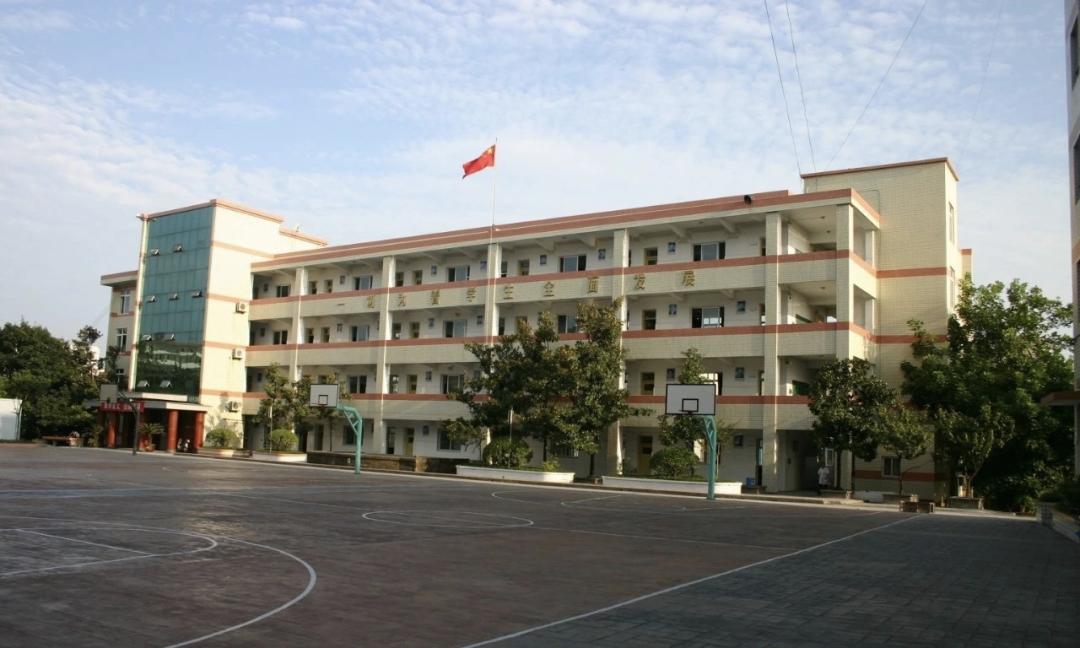 照母山有重点小学吗,照母山学区划分