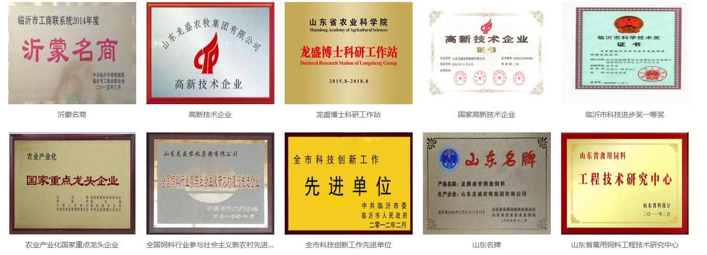 山东龙盛农牧集团有限公司龙君江,山东龙盛农牧集团贷款纠纷案件