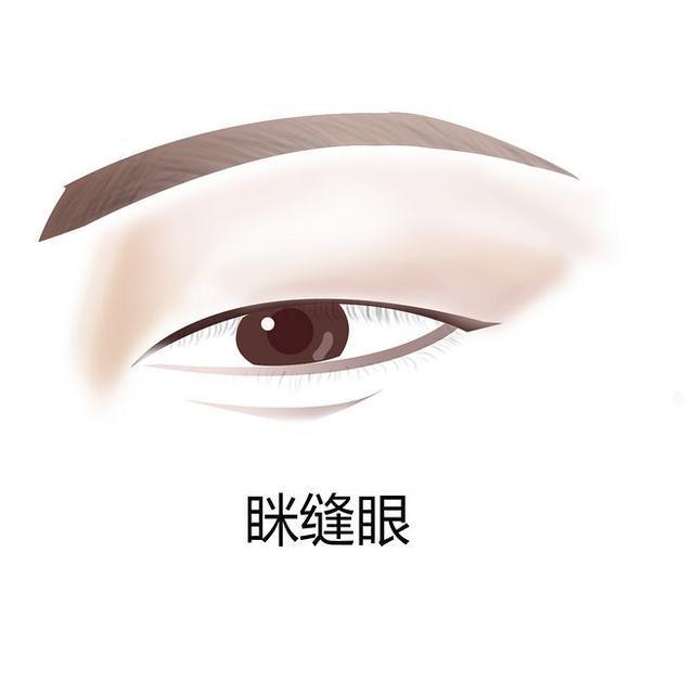 瑞凤眼最漂亮的眼型,各种眼型瑞凤眼