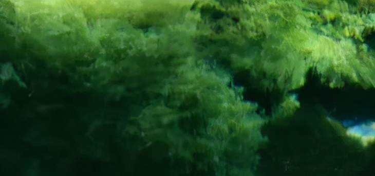 <html>
<head><title>502BadGateway</title></head>
<body>
<center><h1>502BadGateway</h1></center>
<hr><center>nginx</center>
</body>
</html>
<!--apaddingtodisableMSIEandChromefriendlyerrorpage-->
<!--apaddingtodisableMSIEandChromefriendlyerrorpage-->
<!--apaddingtodisableMSIEandChromefriendlyerrorpage-->
<!--apaddingtodisableMSIEandChromefriendlyerrorpage-->
<!--apaddingtodisableMSIEandChromefriendlyerrorpage-->
<!--apaddingtodisableMSIEandChromefriendlyerrorpage-->
