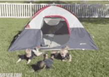 疯狂斗图,逗逼图片搞笑图