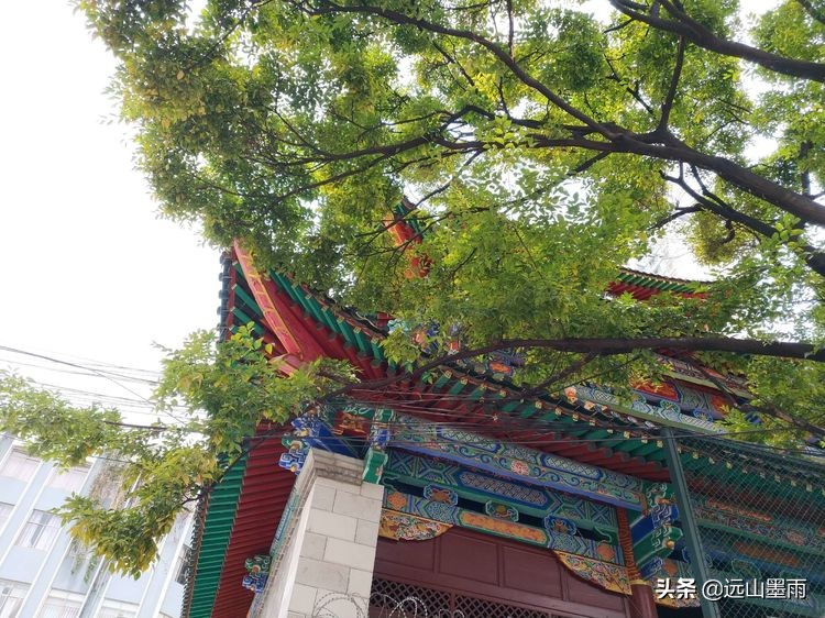 昆明市董家湾在哪里,昆明董家湾图片