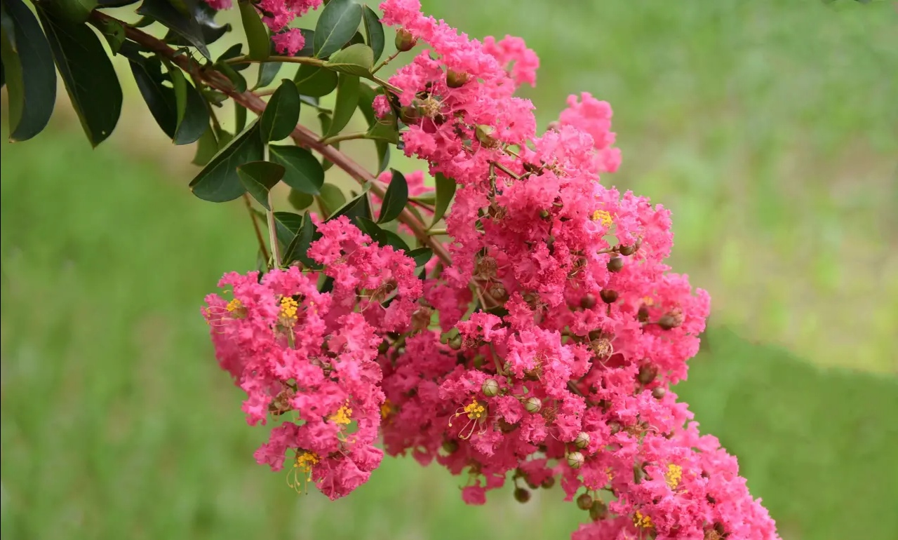 故事：不是最好的丈夫，是最合适的暖男