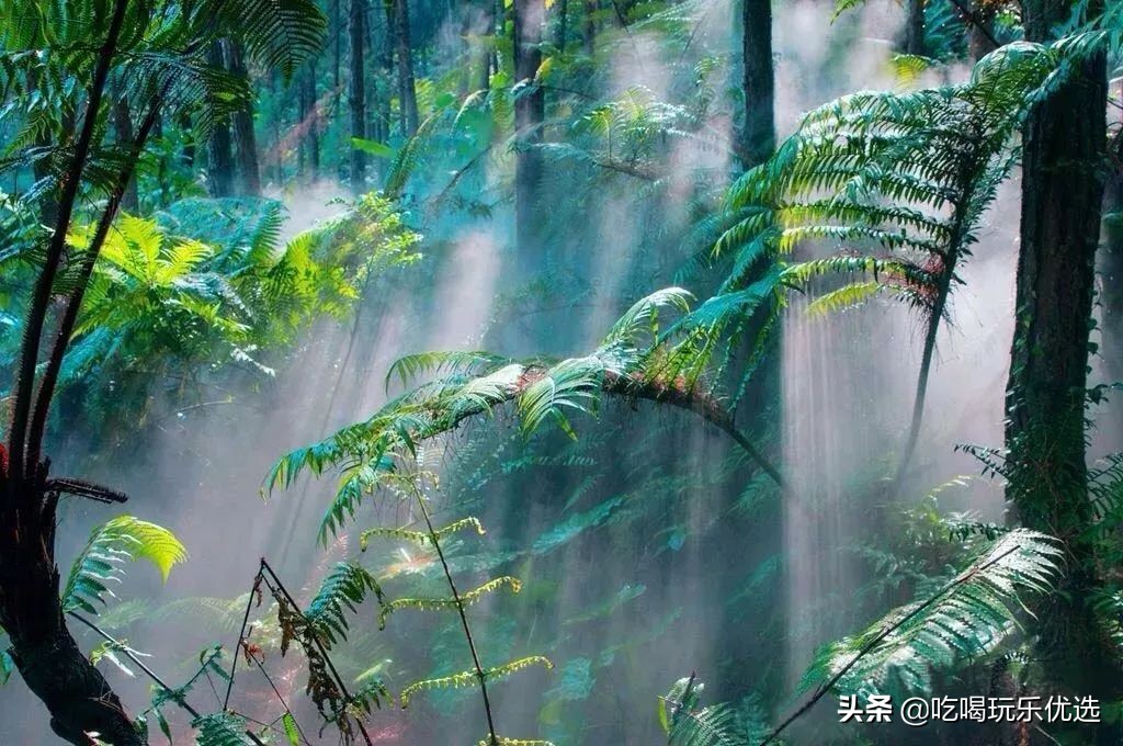 广东清远森波拉旅游度假区,清远森波拉度假区攻略