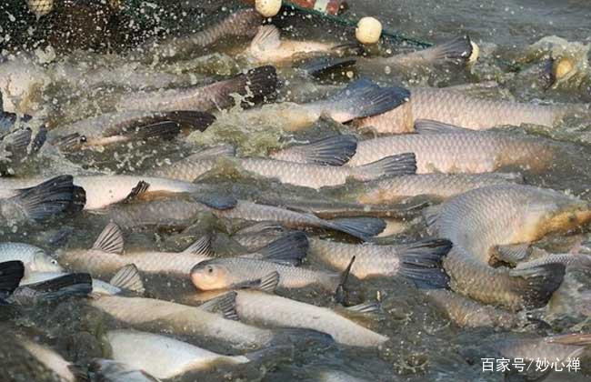 记住了,吹牛的时候用的到:“中国四大”