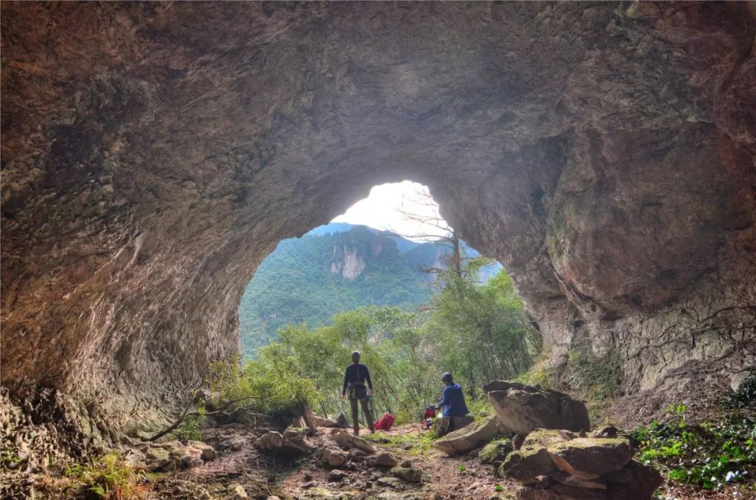 惊艳的一处桃源,乐清秘境原始森林