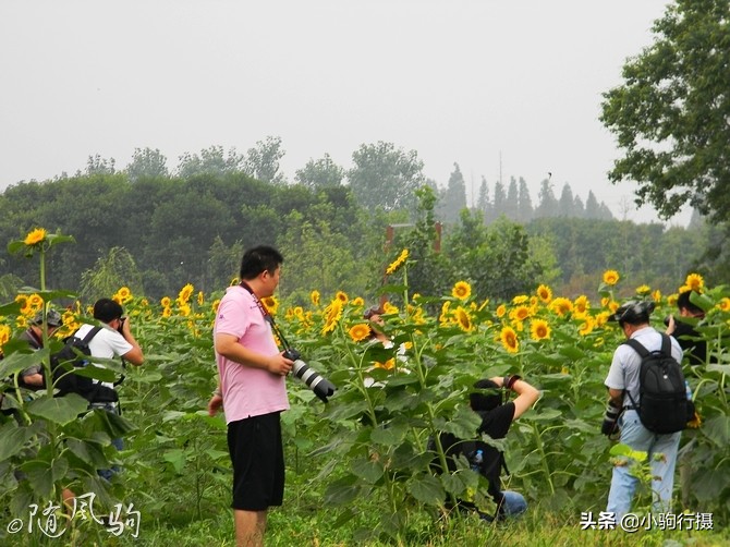 单车骑行无锡,无锡单车骑行路线