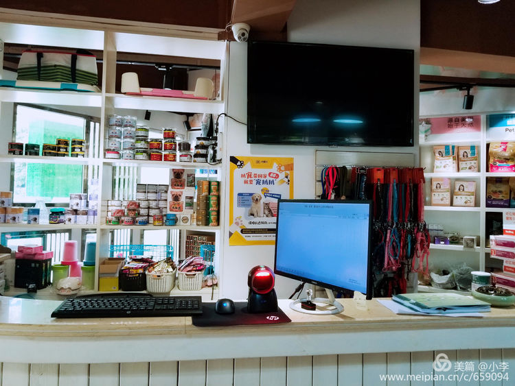 珠海宠物免费治疗,珠海哪里有宠物美容学校