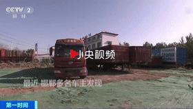 古稀老年人画,叶脉造型画