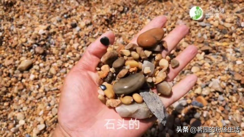 大连202路有轨电车星海公园,大连海事大学海景食堂