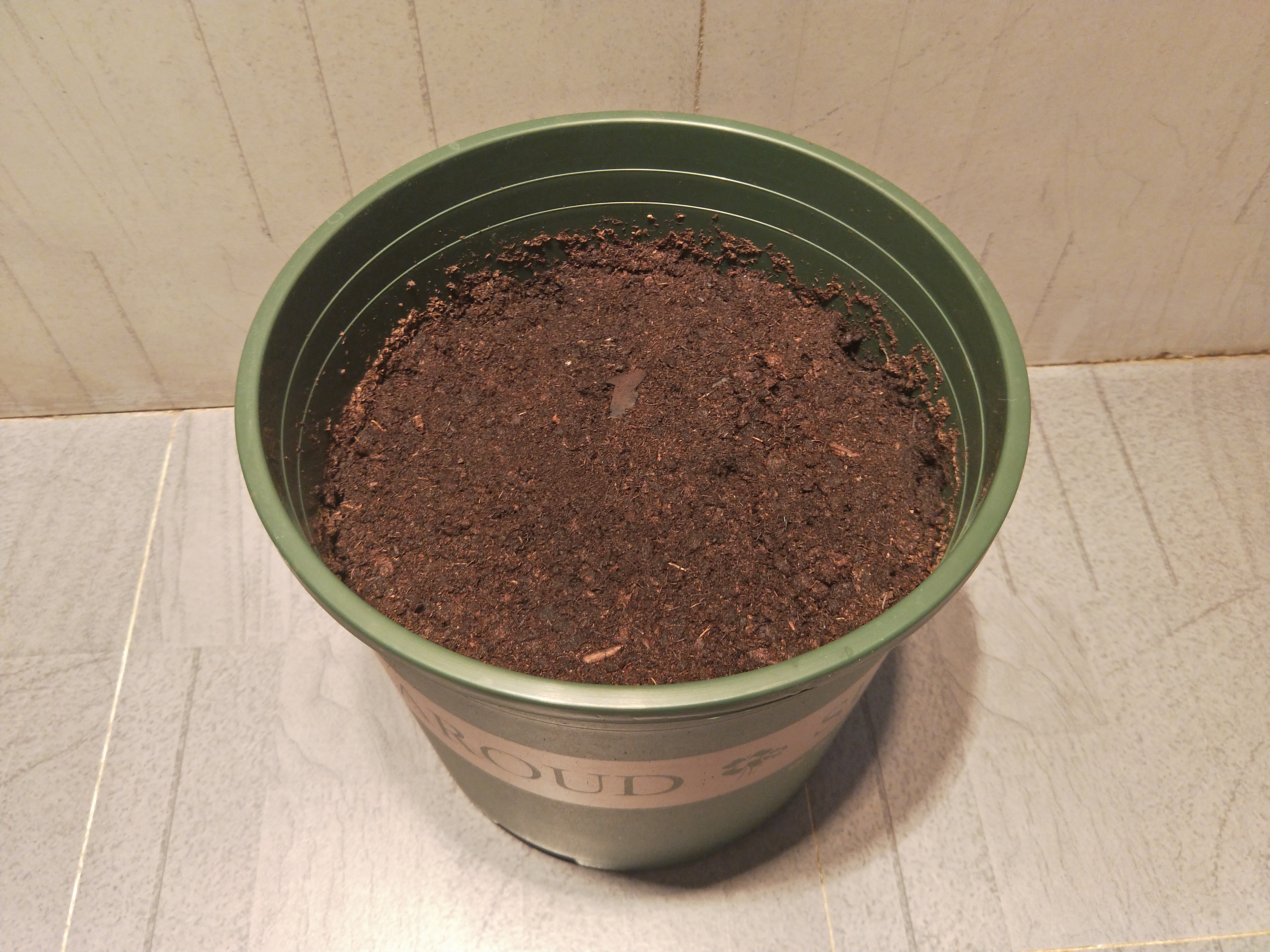 盆栽的百合怎么养最好,盆栽百合的养殖方法有哪些