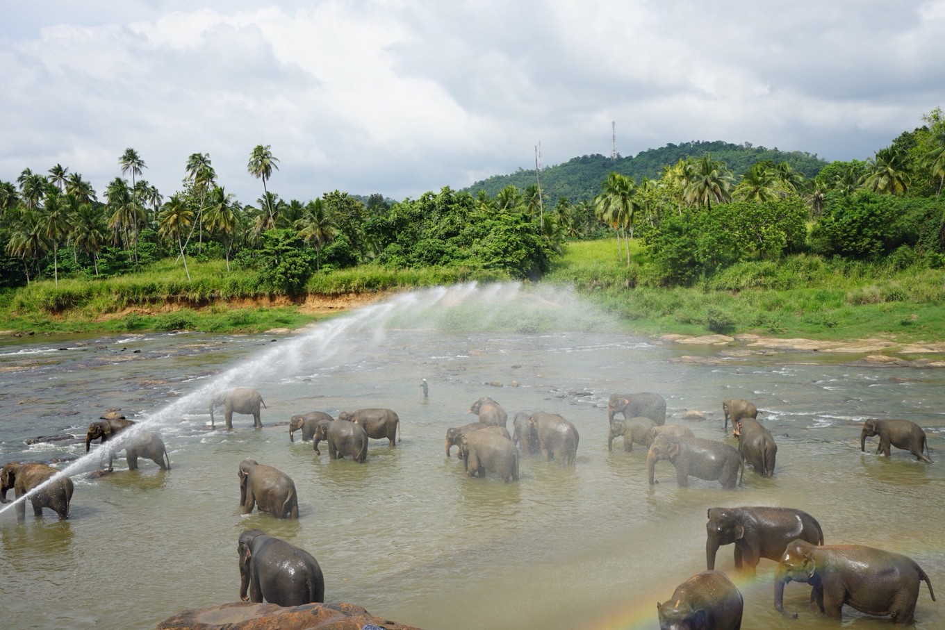 带着甜甜奶茶香的斯里兰卡小环岛之旅+两家安缦全体验