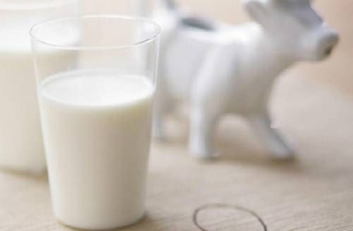 全脂奶粉和纯牛奶减肥,全脂奶和脱脂奶的区别减肥