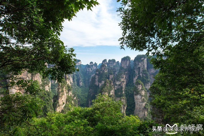 张家界武陵源天门山三日游团购,天门山森林公园张家界自由行攻略