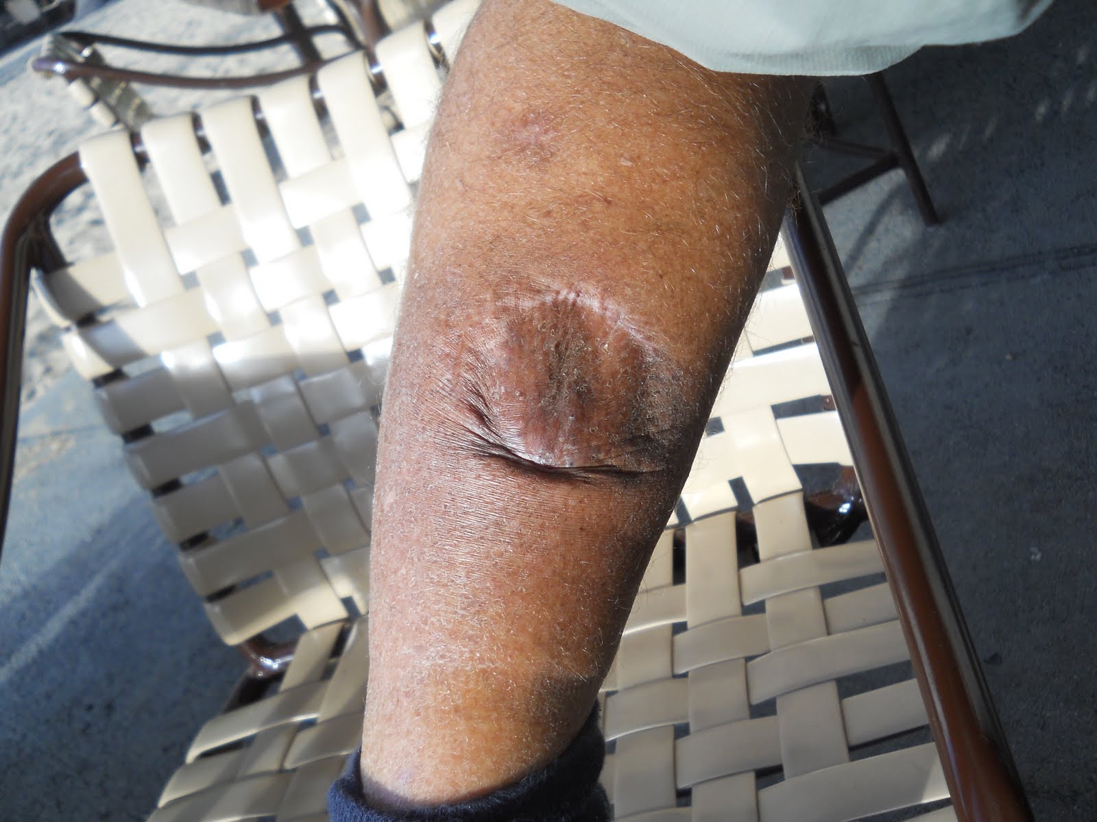 身长才50厘米的达摩鲨究竟有多狂,巨齿鲨有多恐怖一口能咬死鲸鱼