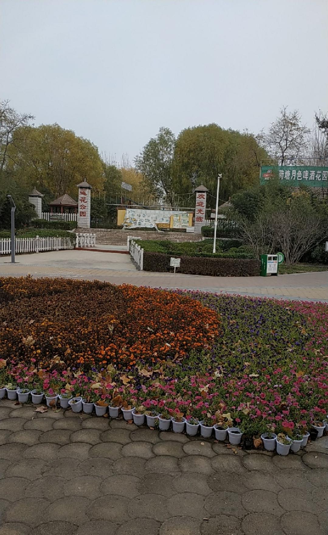 映日荷花别样红湖中美景,莲叶无穷碧映日荷花别样红美景