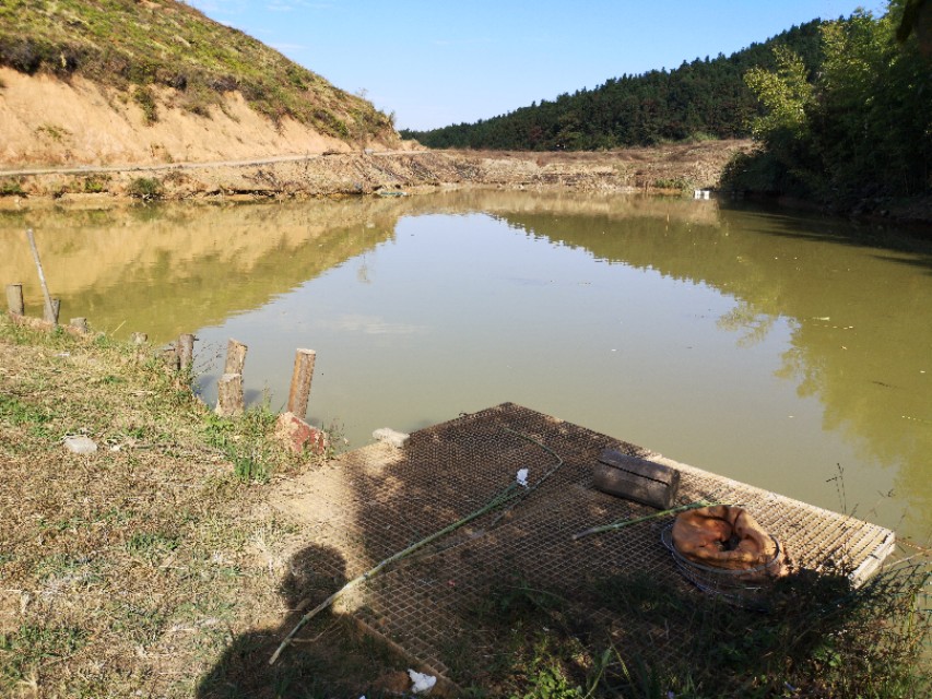 【建州风情】闽源人梨山麓的木樨,犀白鱼采风行！
