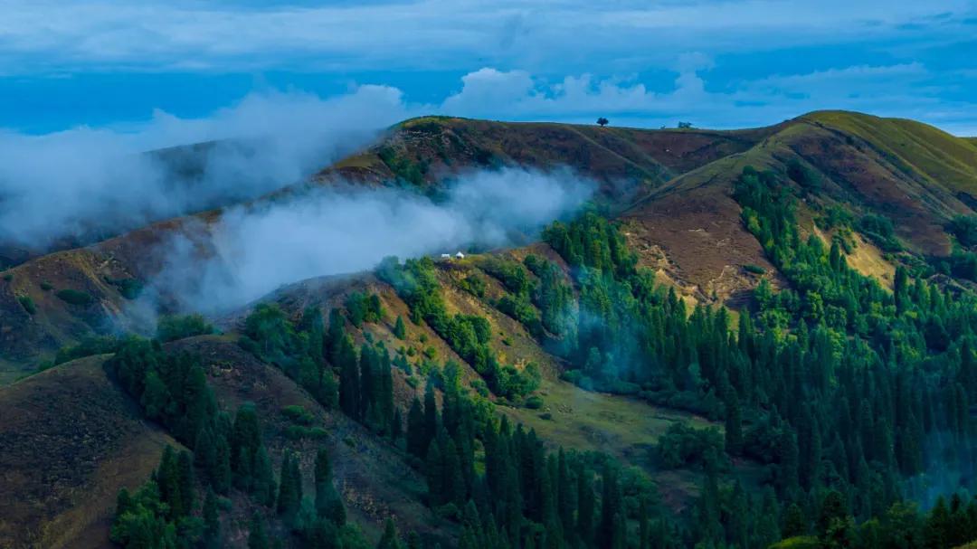 可以靠颜值偏要靠技术,能靠颜值偏靠实力