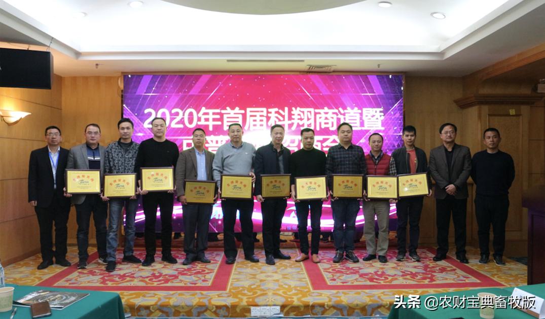 经销商如何做到竞争,经销商如何和同行竞争