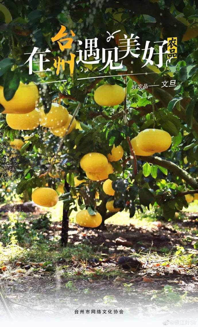 台州是好城市吗,台州啥好玩