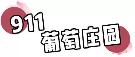打死也要买的四样东西,打死也要买的家庭好物