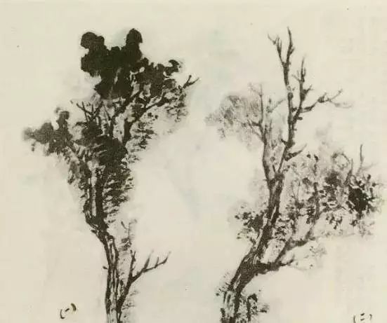 怎样画树画得好看,怎么画树最简单而且还最好看