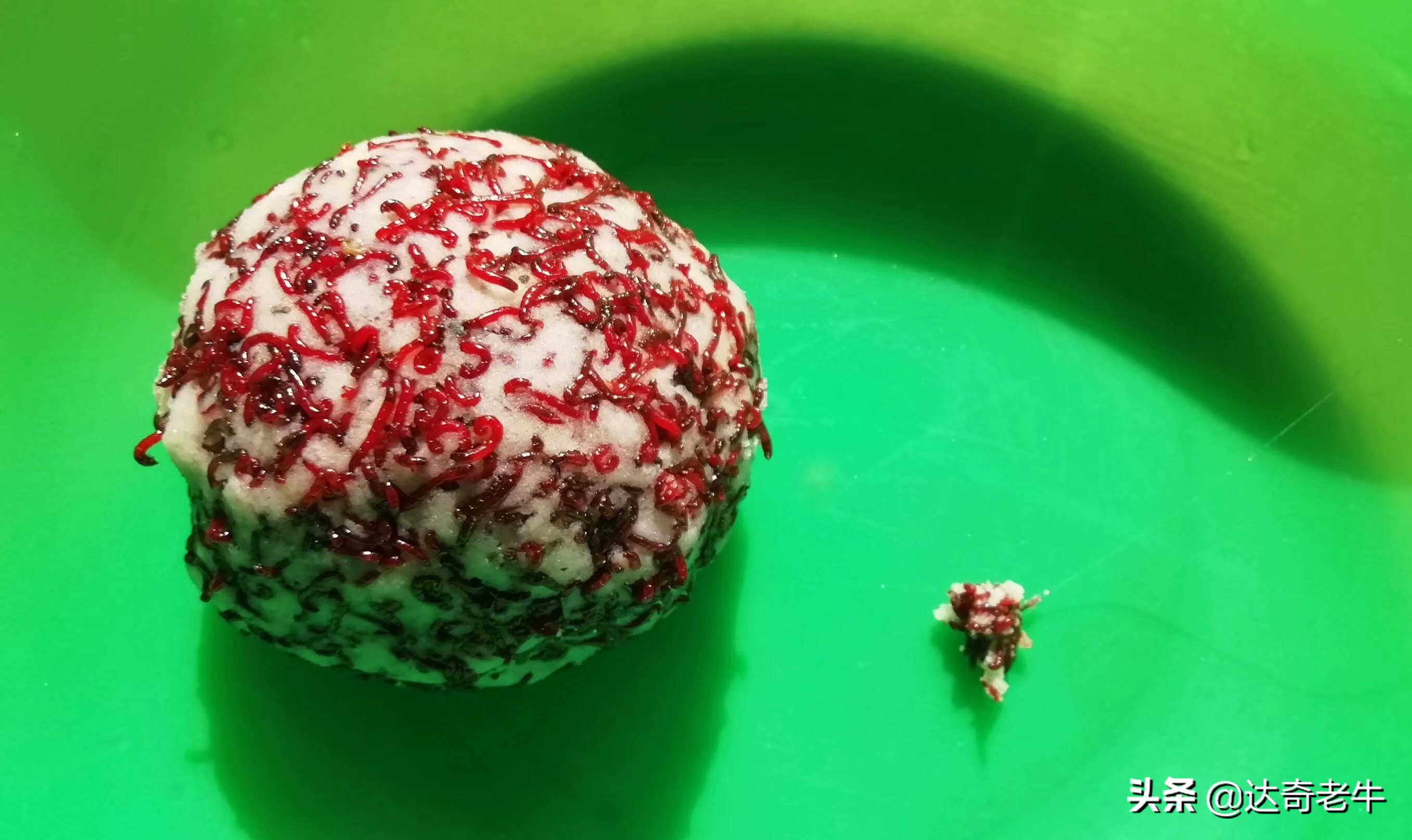 秋季黑坑红虫拉饵配方,黑坑红虫拉饵配什么饵料最好用