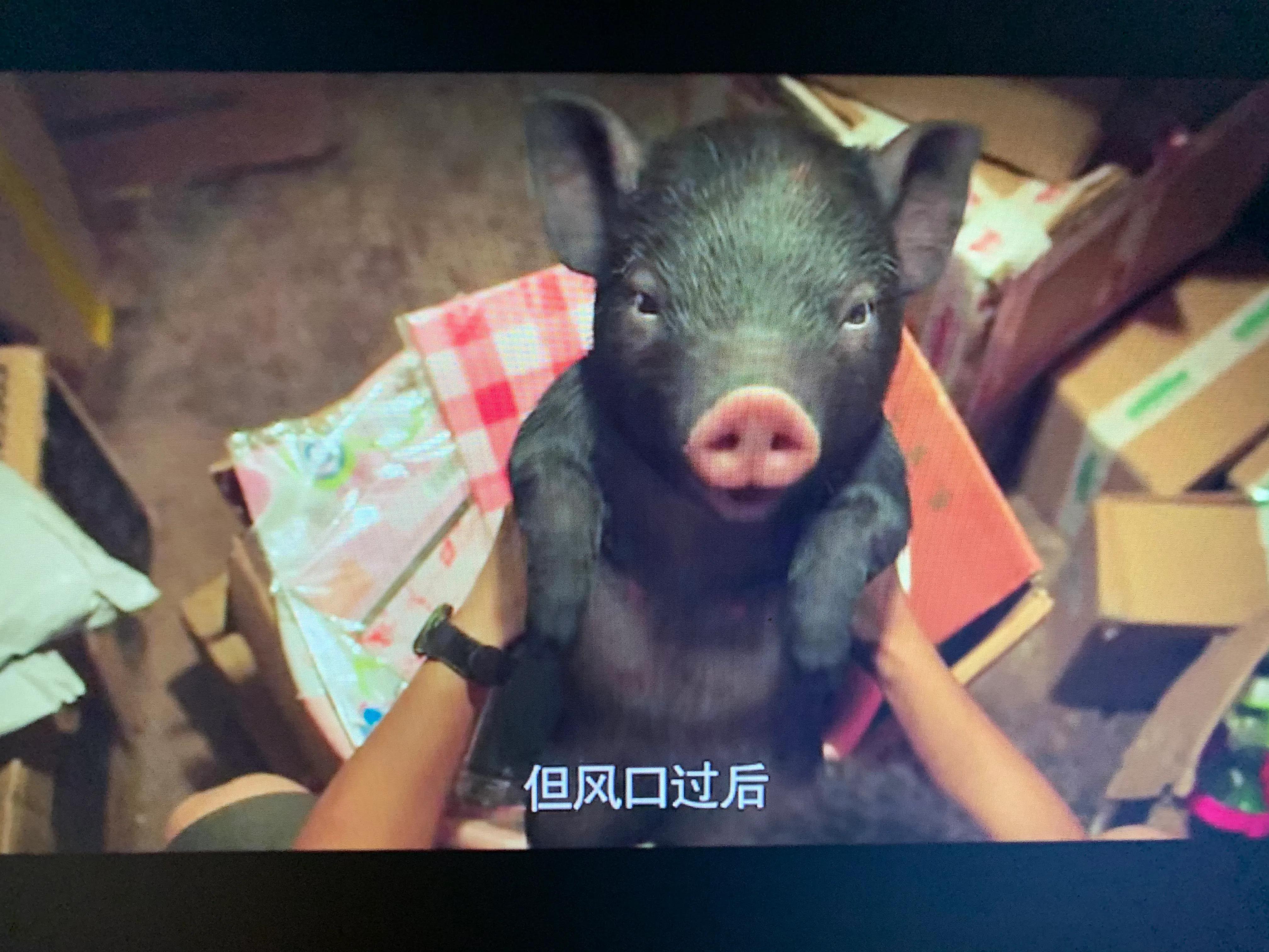 一点就到家的利他思维,一点就到家的创业看法