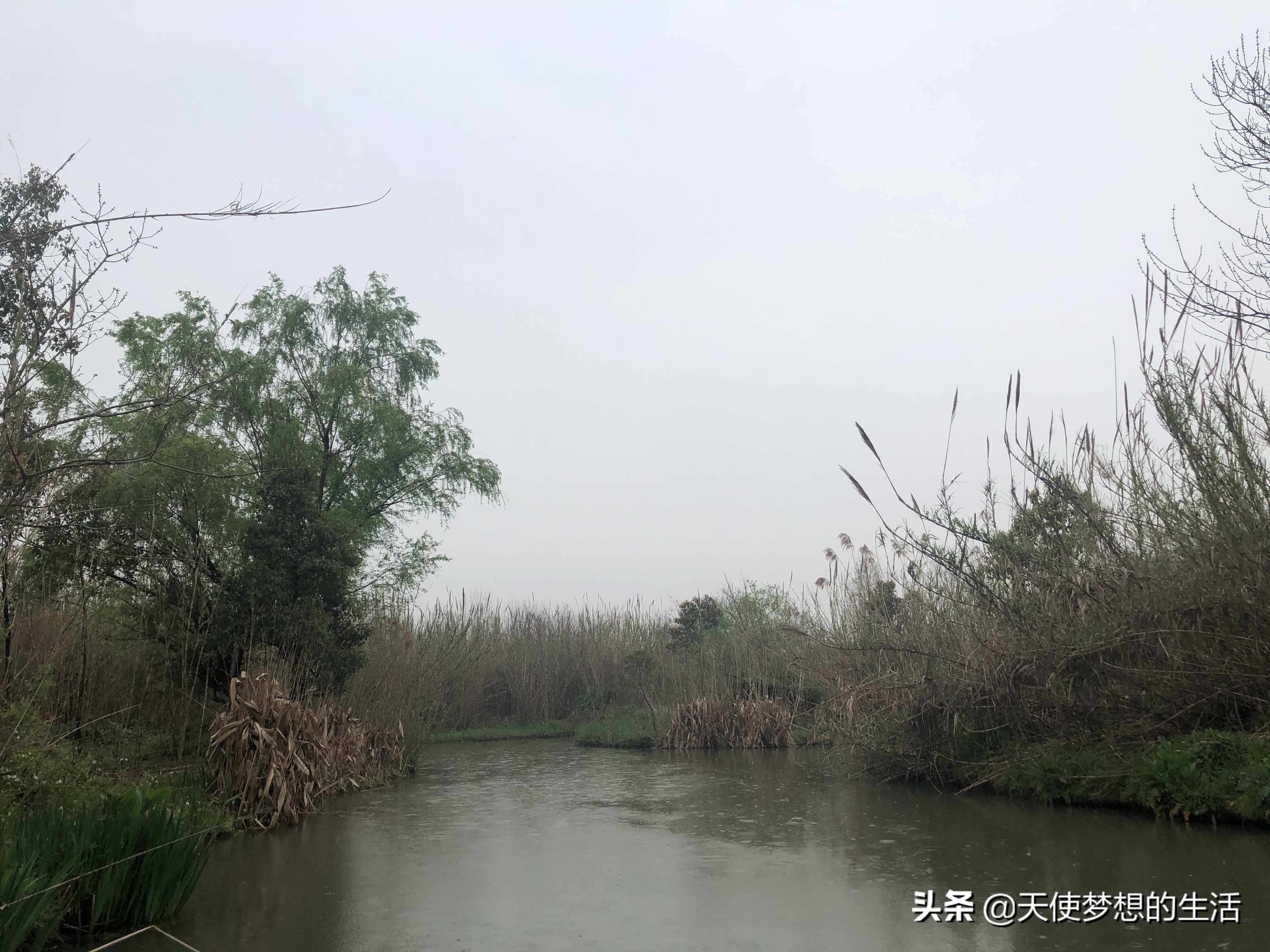 苏州常熟沙家浜有什么好玩的,常熟沙家浜芦苇荡