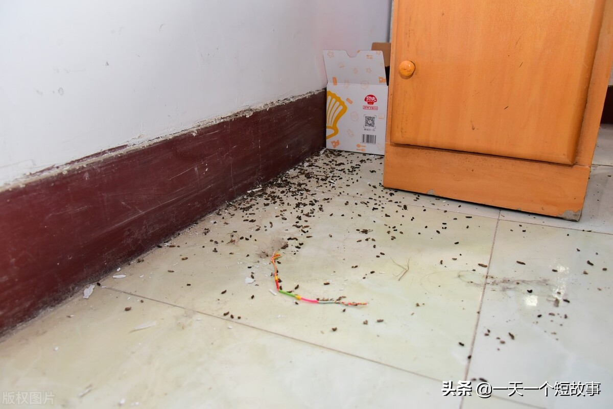 半夜房子异响怎么解,新房有怪响原因是个谜