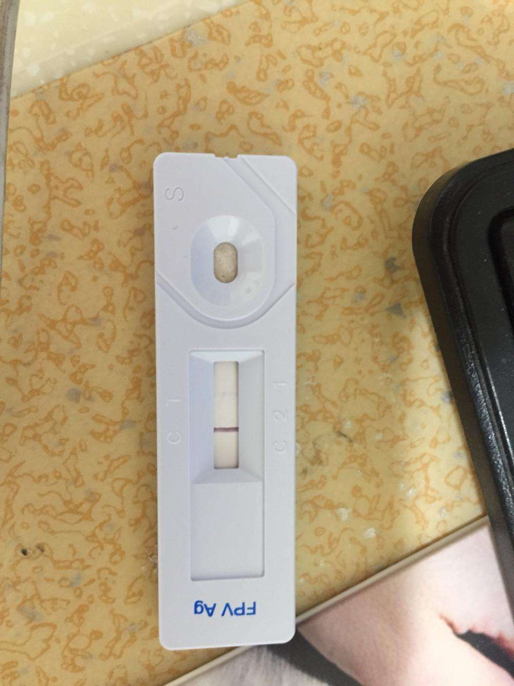 猫瘟导致眼睛变绿,谈猫色变