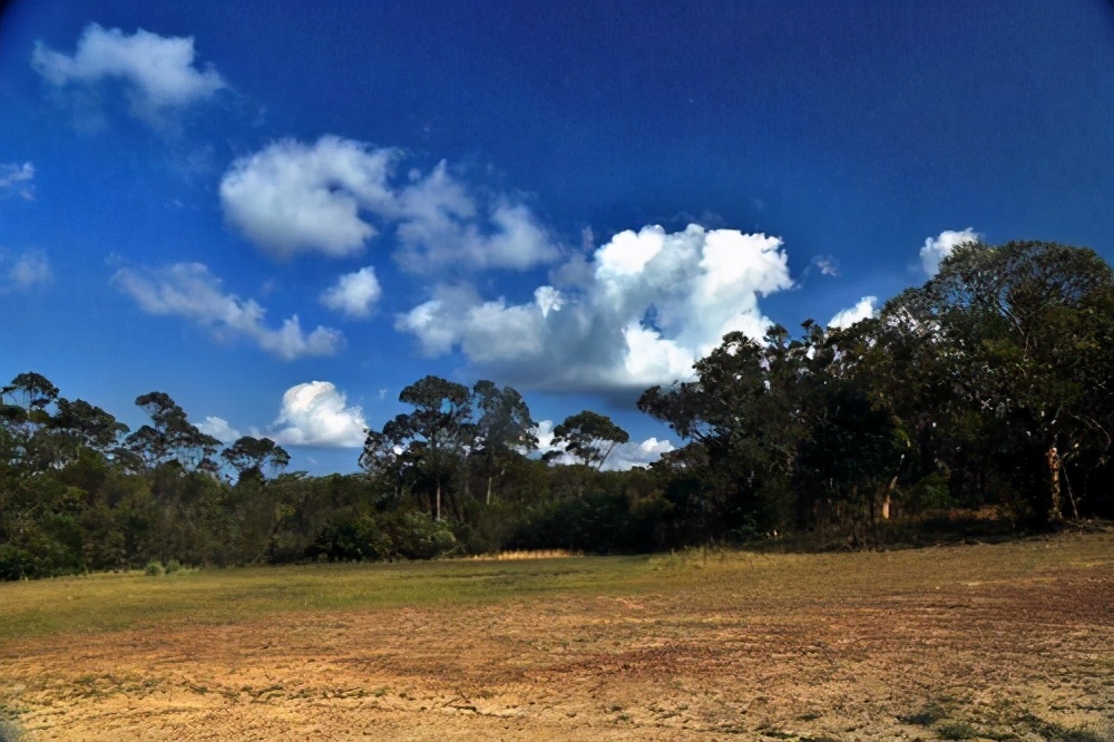 有什么方法移民,有哪些方法移民