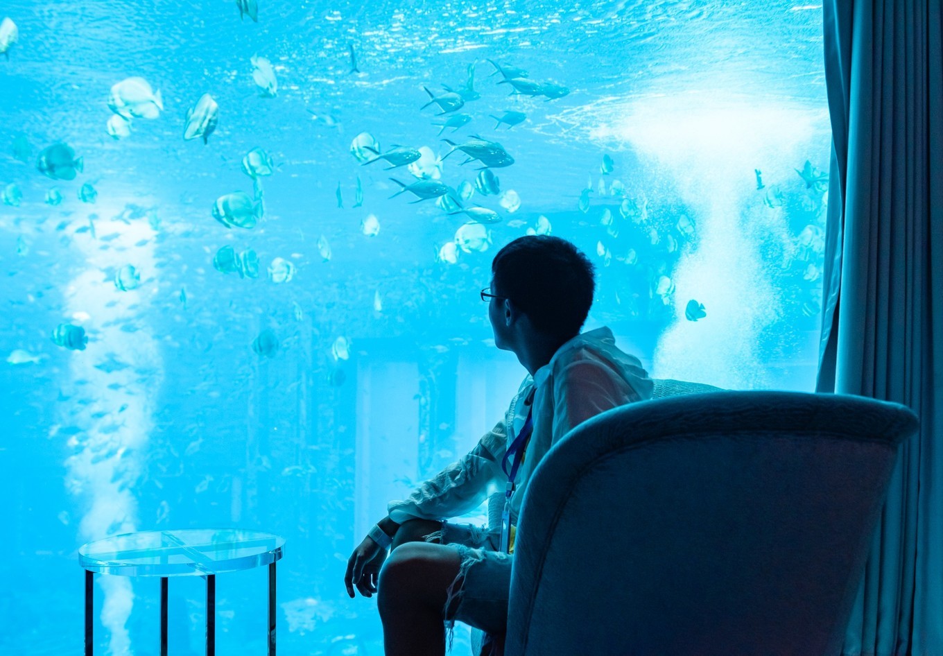 你来三亚一趟，不长个3、5斤肉，对不起自己【附：热门餐厅点菜