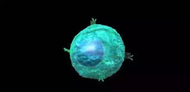 看了科普视频感想,免疫学科普视频