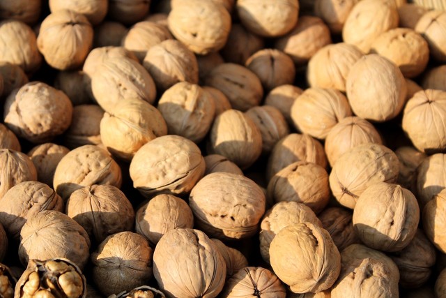 核桃树象征意义多子多福,核桃树红色代表什么