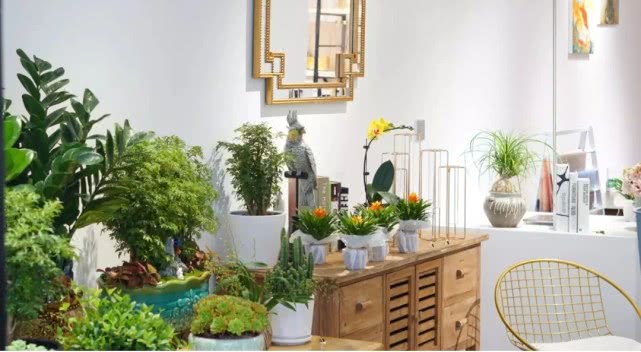 开花店如何在抖音上赚钱,开一个花店可以赚钱吗