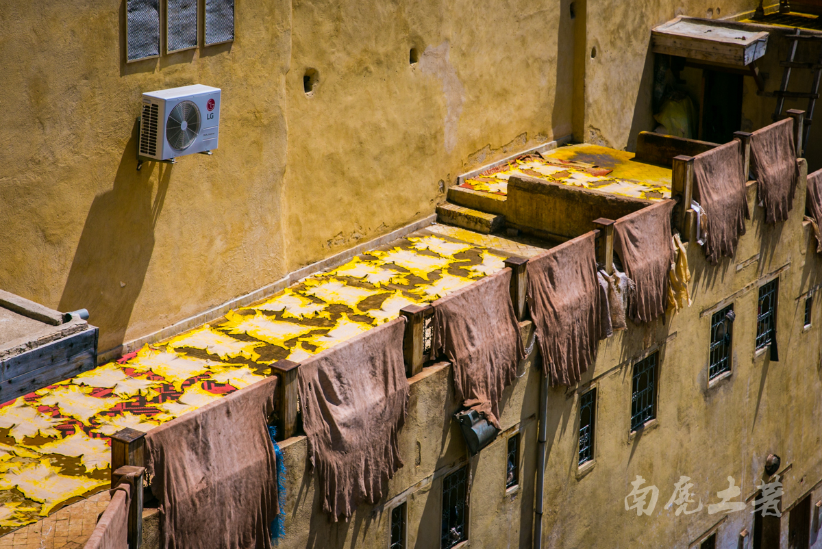 非洲这个城市这么臭,游人却每天排队参观