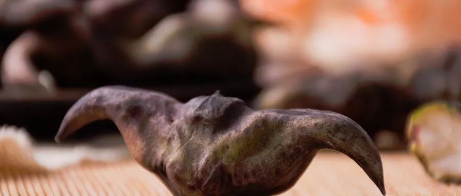 青菜上的虫卵吃了会怎样,一桌食物吃出虫子