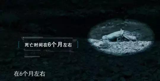 让尸体开口“说话”，央视爸爸手把手教你破悬案！