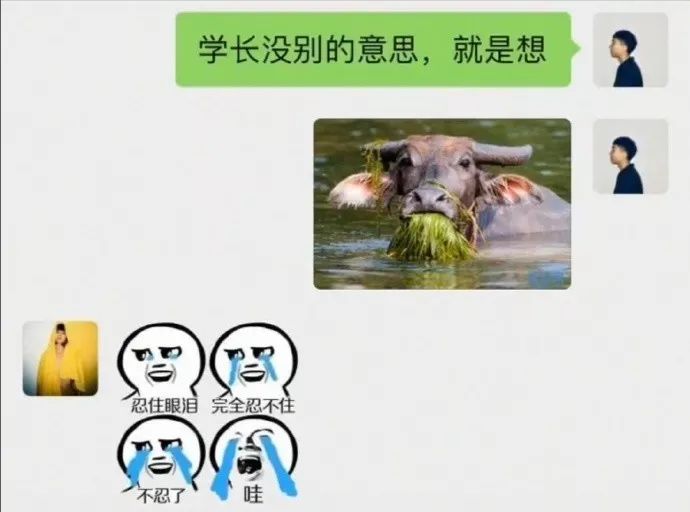 学生爆笑表情包,大学生打招呼幽默表情包