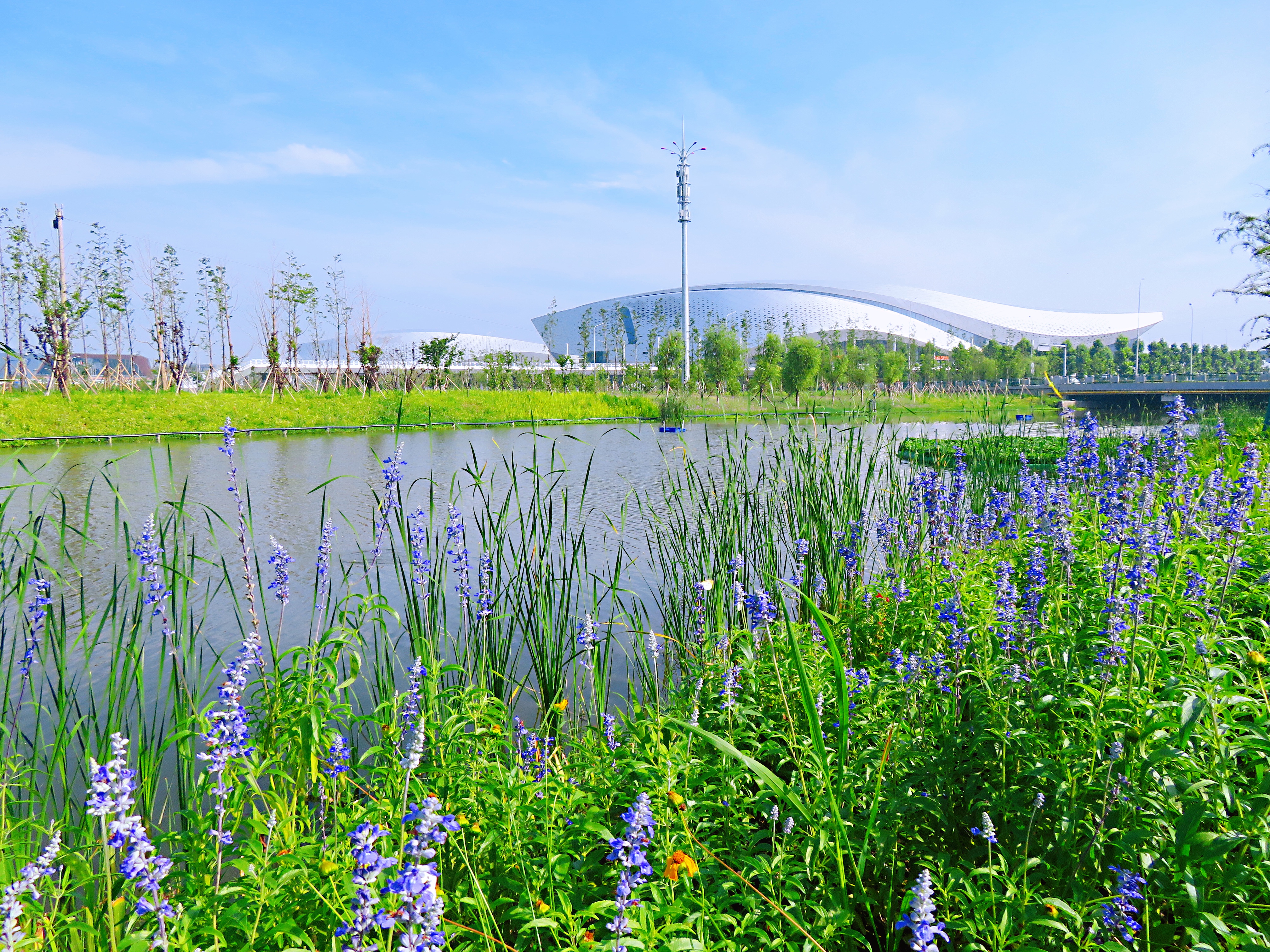 宁波附近野外游泳的地方有哪些,宁波哪里玩适合带小孩水上乐园