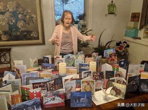 昨晚，我家猫叼来了一件蕾丝内衣…